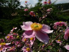 letzten Sommer in Marburg.. :)