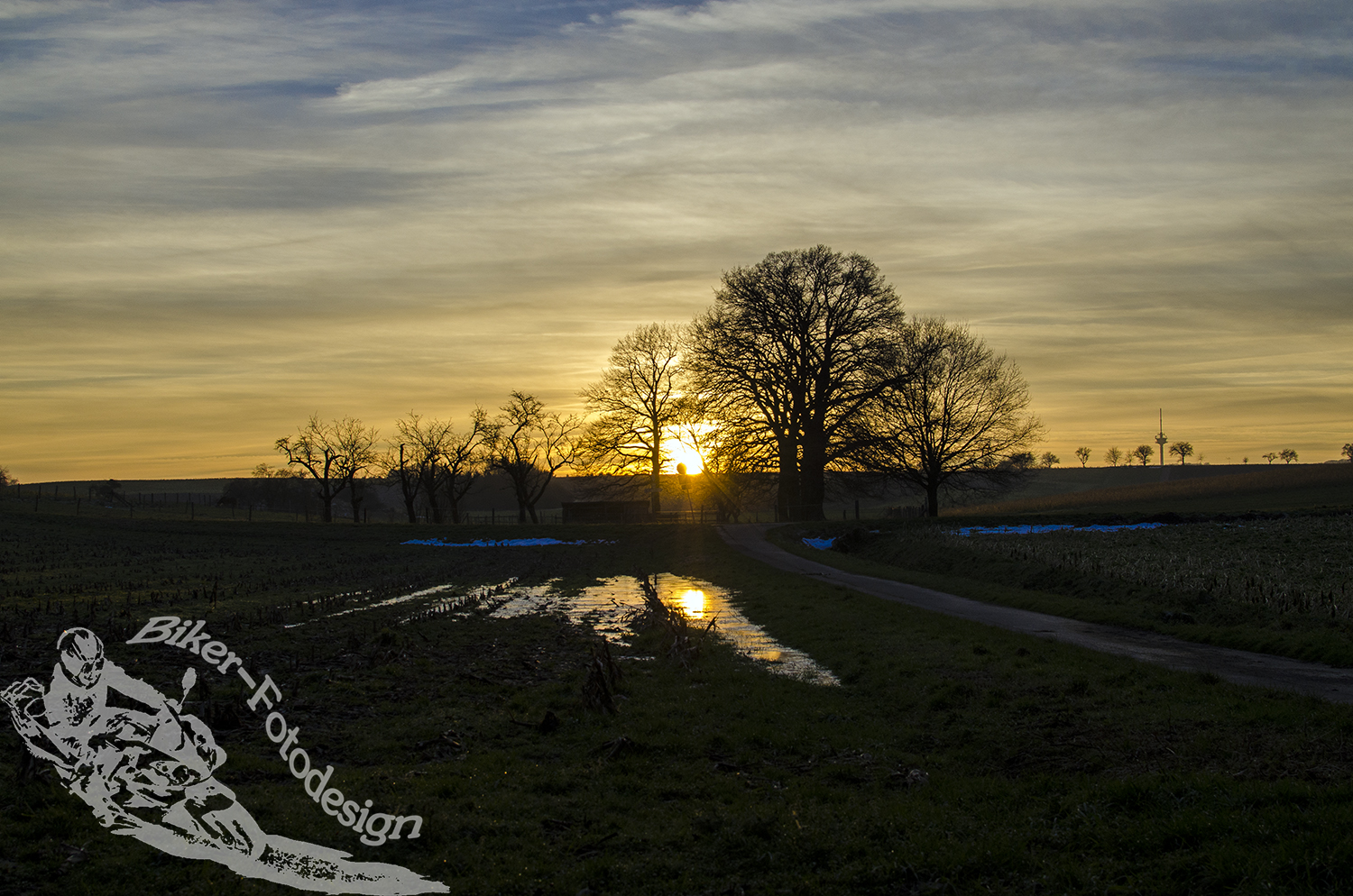 Letzten Sonnenstrahlen des Wintertages