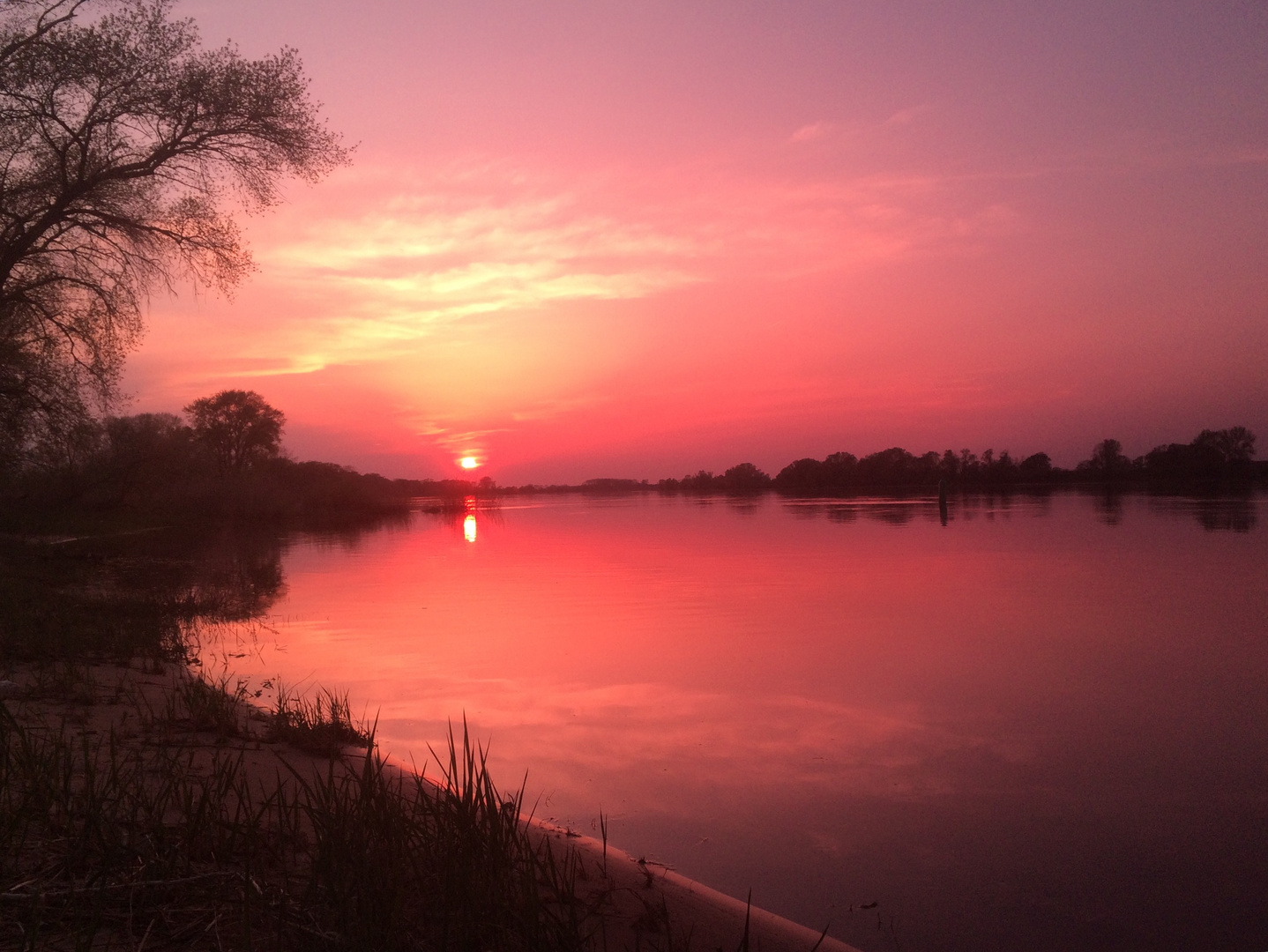 Letzten Sonntag an der Elbe