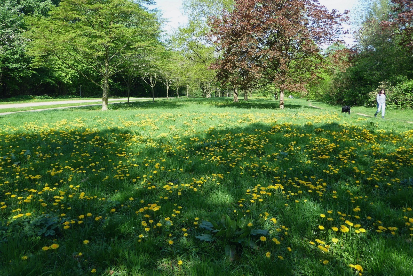 Letzten Sonntag im Stadtpark