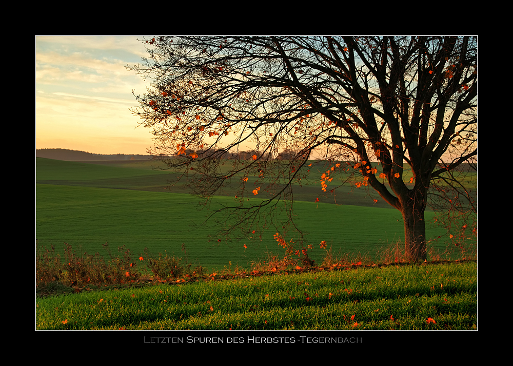 Letzten Spuren des Herbstes