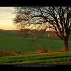 Letzten Spuren des Herbstes