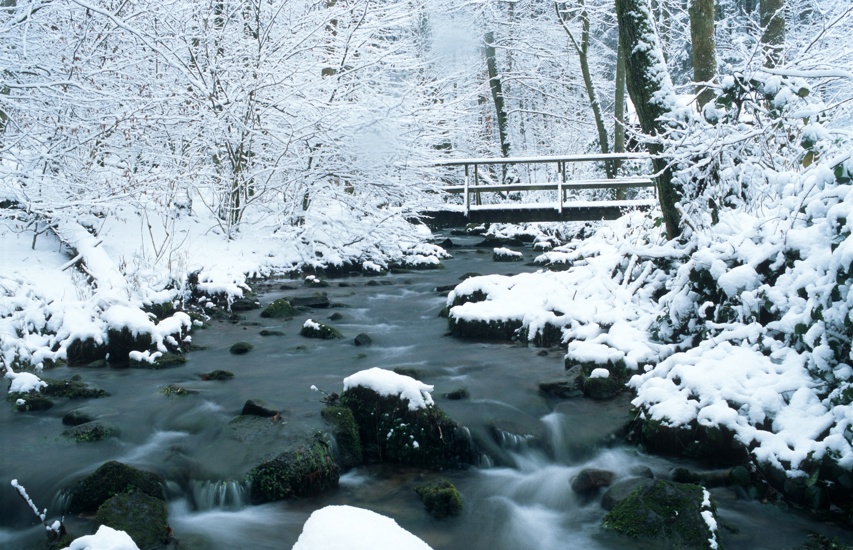 Letzten Winter ...