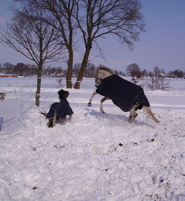 Letzten Winter im Schnee...