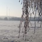 Letzten Winterbilder 1