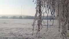 Letzten Winterbilder 1