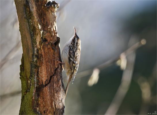 Letztens, als es bei uns auch mal Licht gab, ...