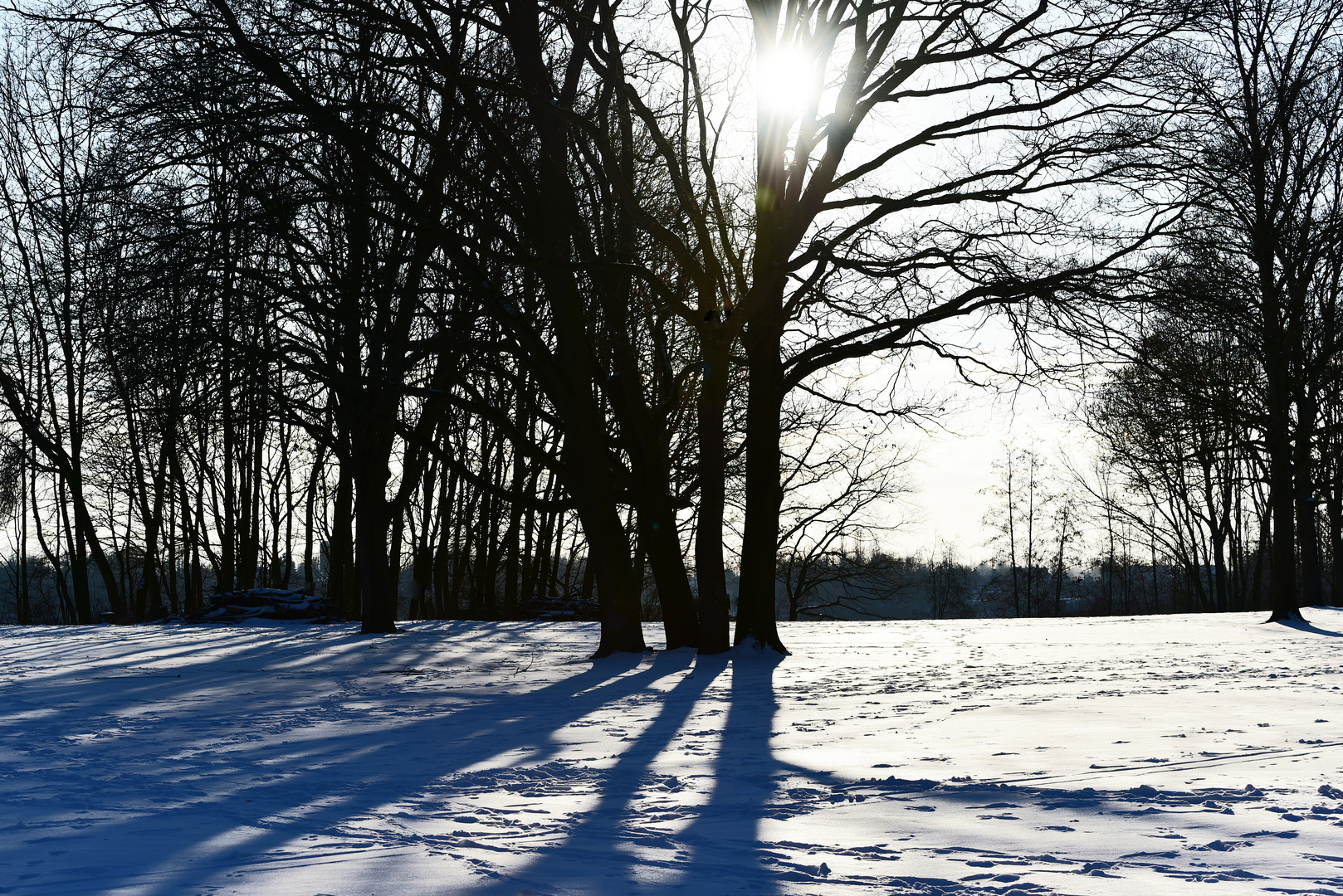 Letztens beim Schneegang .