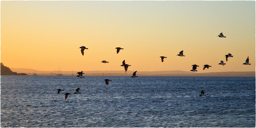 Letzter Abend auf Kangaroo Island