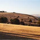 Letzter Abend auf Kangaroo Island ...