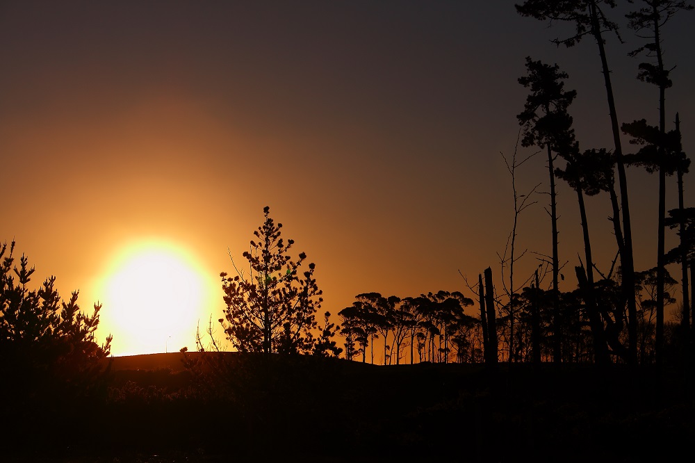 Letzter Abend in Neuseeland