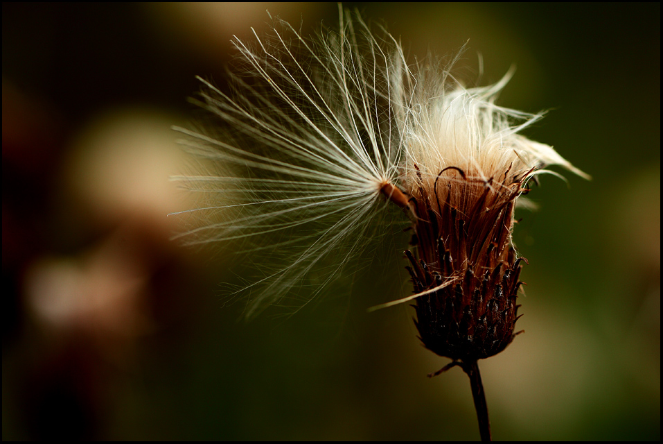 letzter Abschied