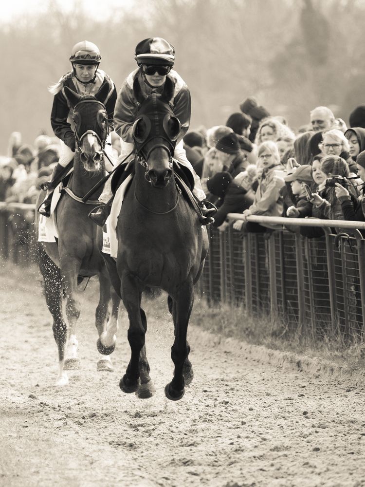 Letzter Aufgalopp in Bremen