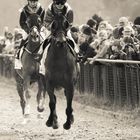 Letzter Aufgalopp in Bremen