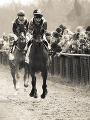 Letzter Aufgalopp in Bremen