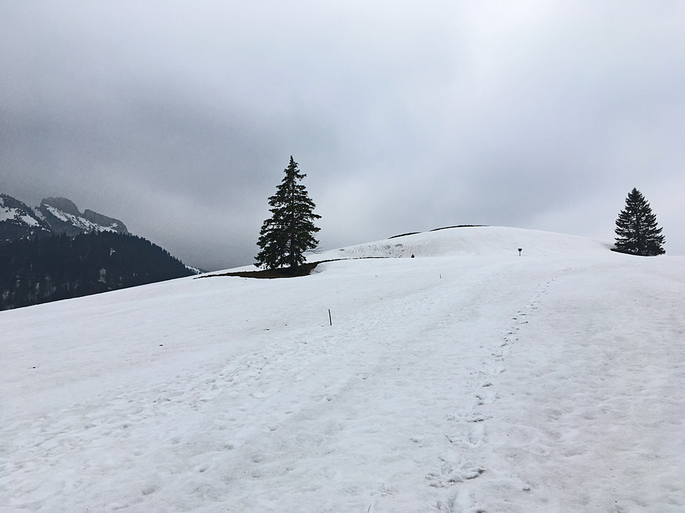 Letzter Ausflug