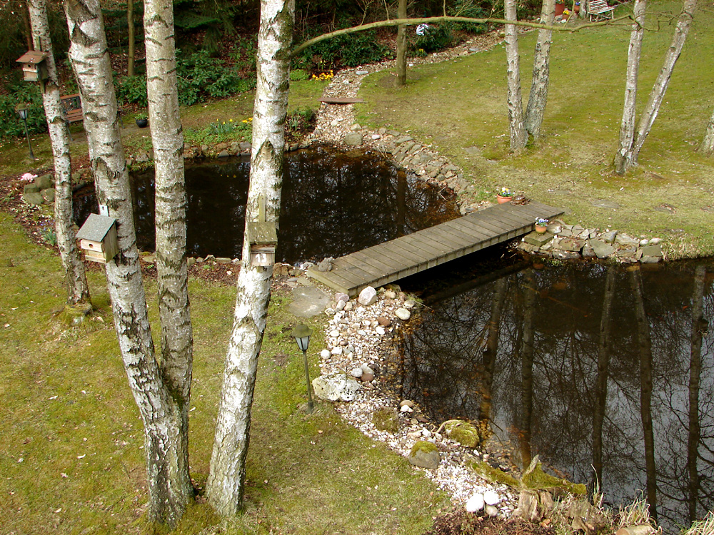 Letzter Blick von der Birke