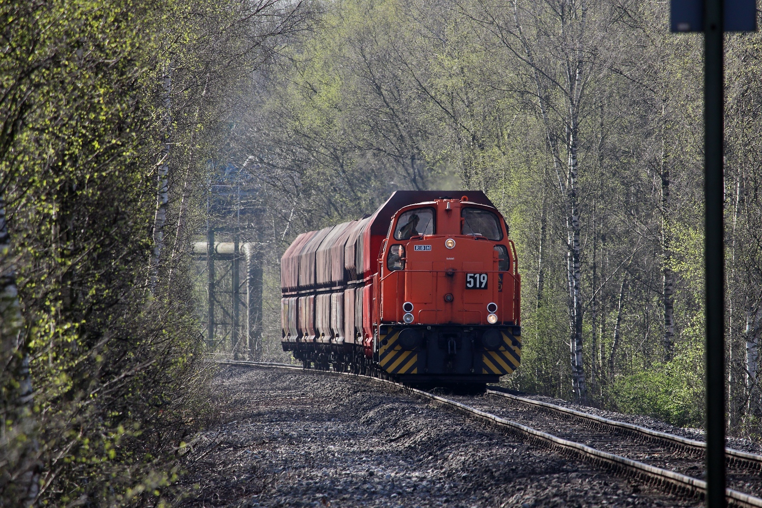 Letzter Frühling im Revier