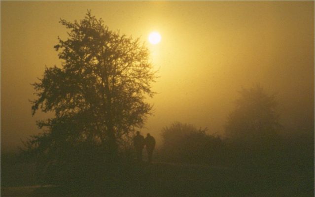 Letzter gemeinsamer Weg?