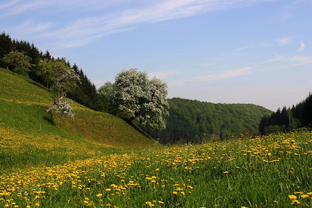 Letzter Halt