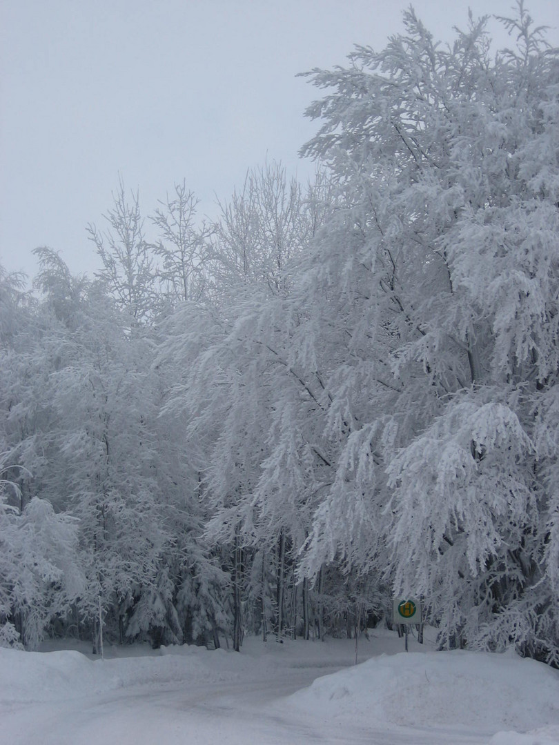 Letzter Halt.... Winterwunderland!!!