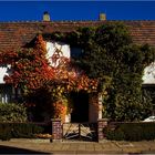 (letzter) Herbst in Heuersdorf