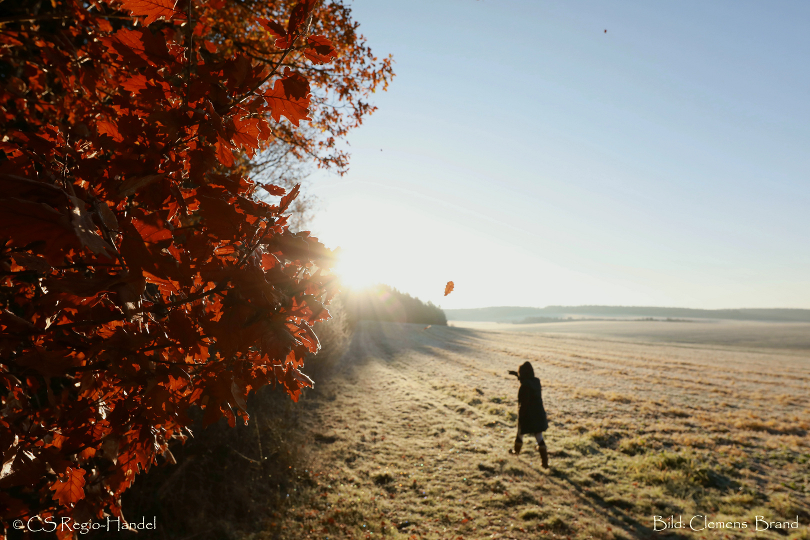 Letzter Herbstmorgen vor dem Winteranfang