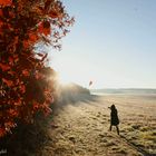 Letzter Herbstmorgen vor dem Winteranfang