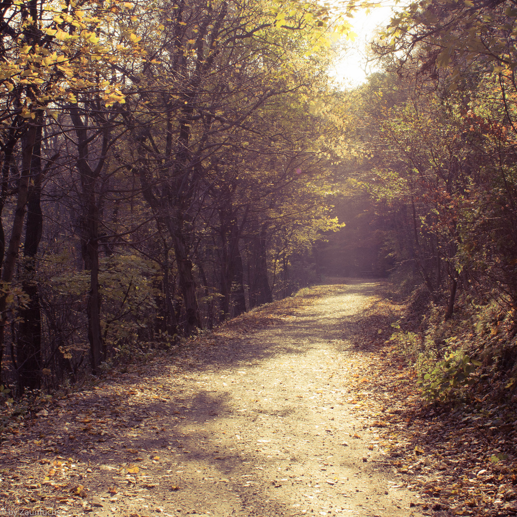 letzter Herbsttag