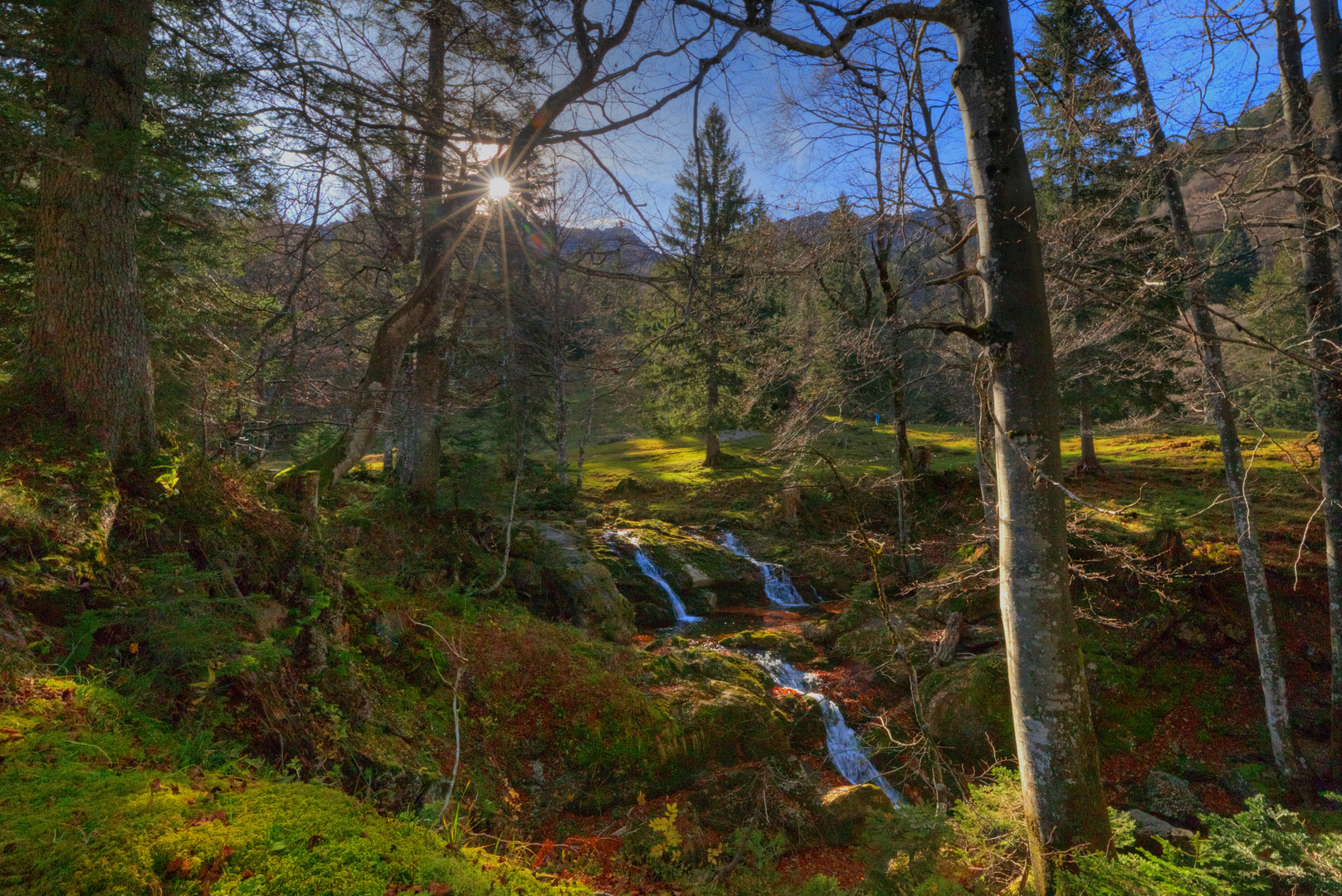 Letzter Herbsttag vor dem Schnee