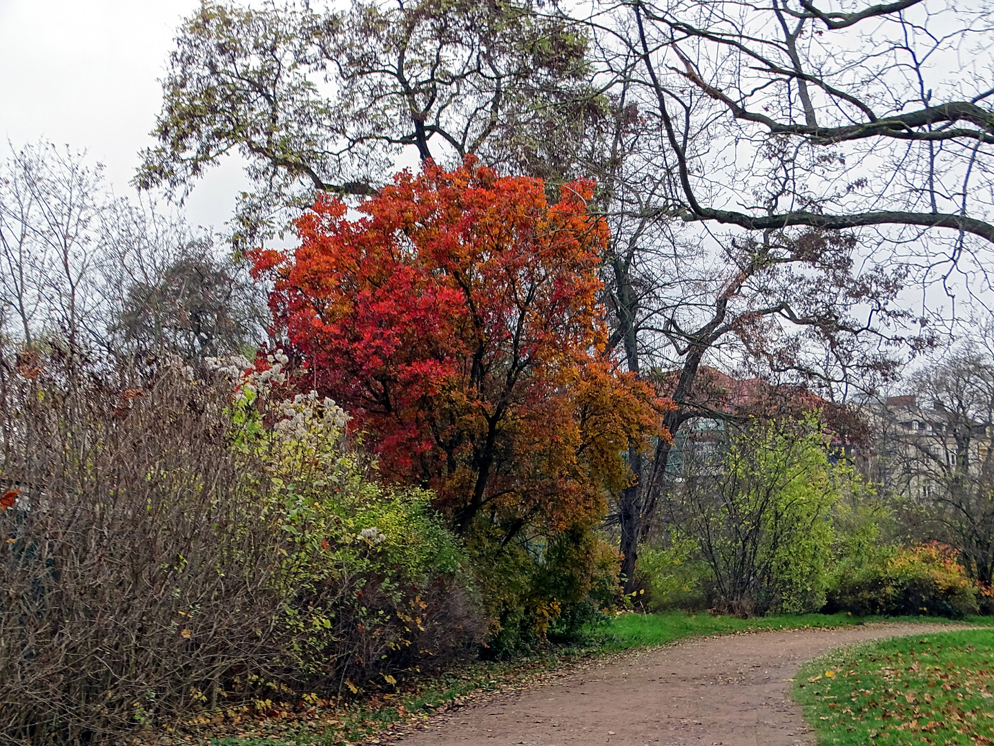 Letzter Herbstzauber