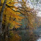 Letzter Herbstzauber in diesem Jahr