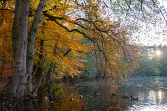 Letzter Herbstzauber in diesem Jahr