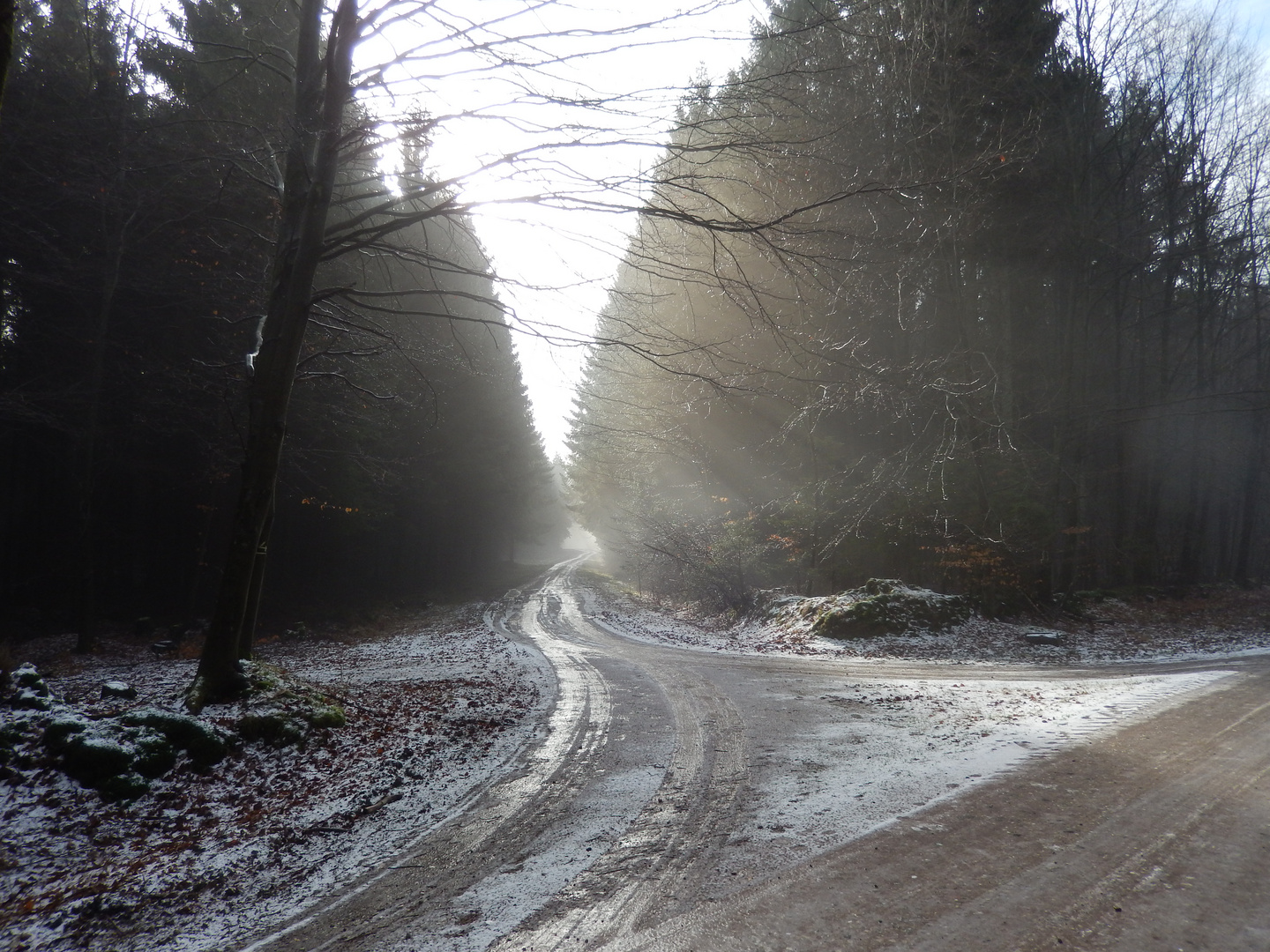 Letzter Morgennebel