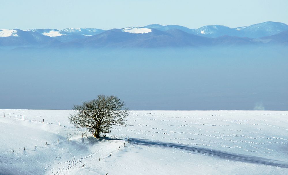 "Letzter" Rückblick auf den Winter