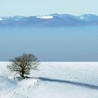 "Letzter" Rückblick auf den Winter