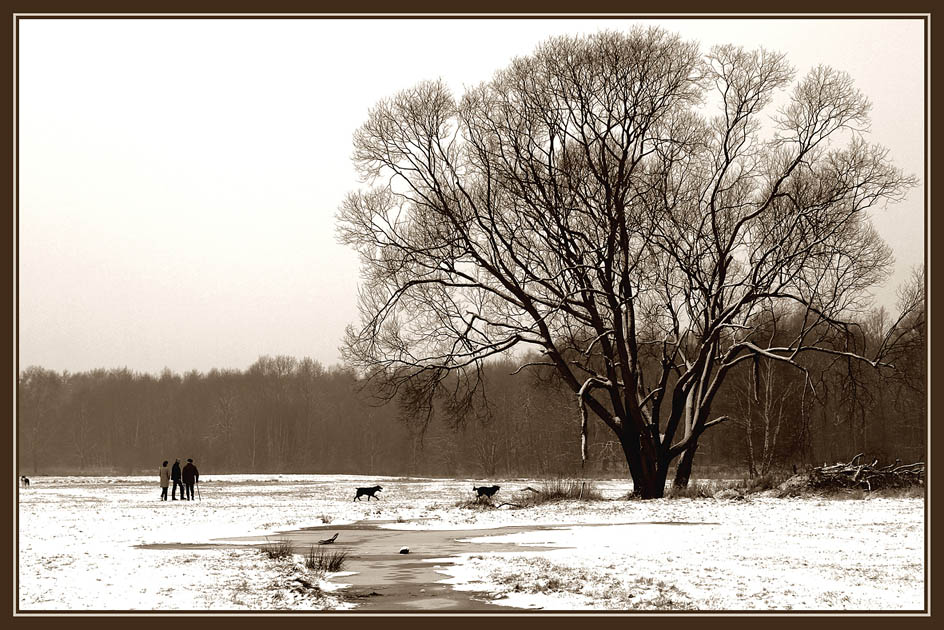 Letzter Schnee