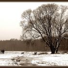 Letzter Schnee