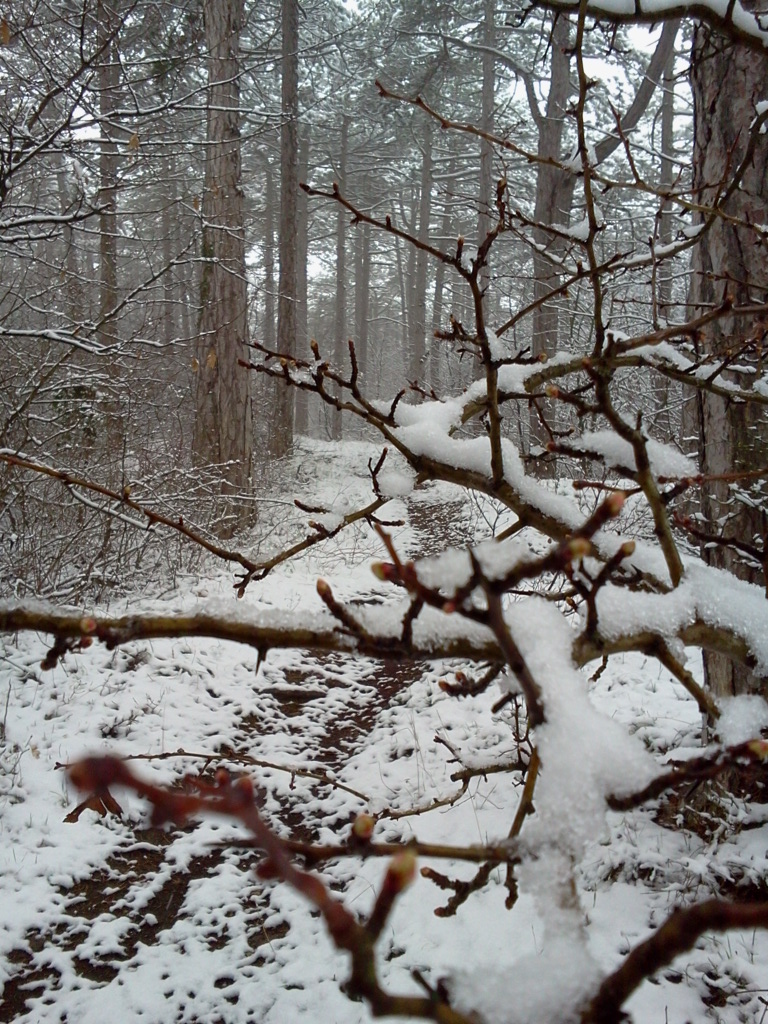 Letzter Schnee 2016?