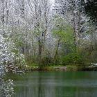 Letzter Schnee 2016 am Baggersee