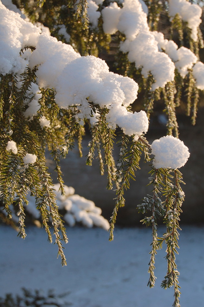 letzter Schnee.....