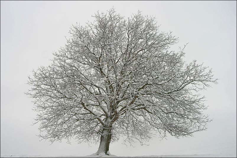 Letzter Schnee