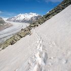 letzter Schnee am Bettmerhorn