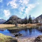 Letzter Schnee am See