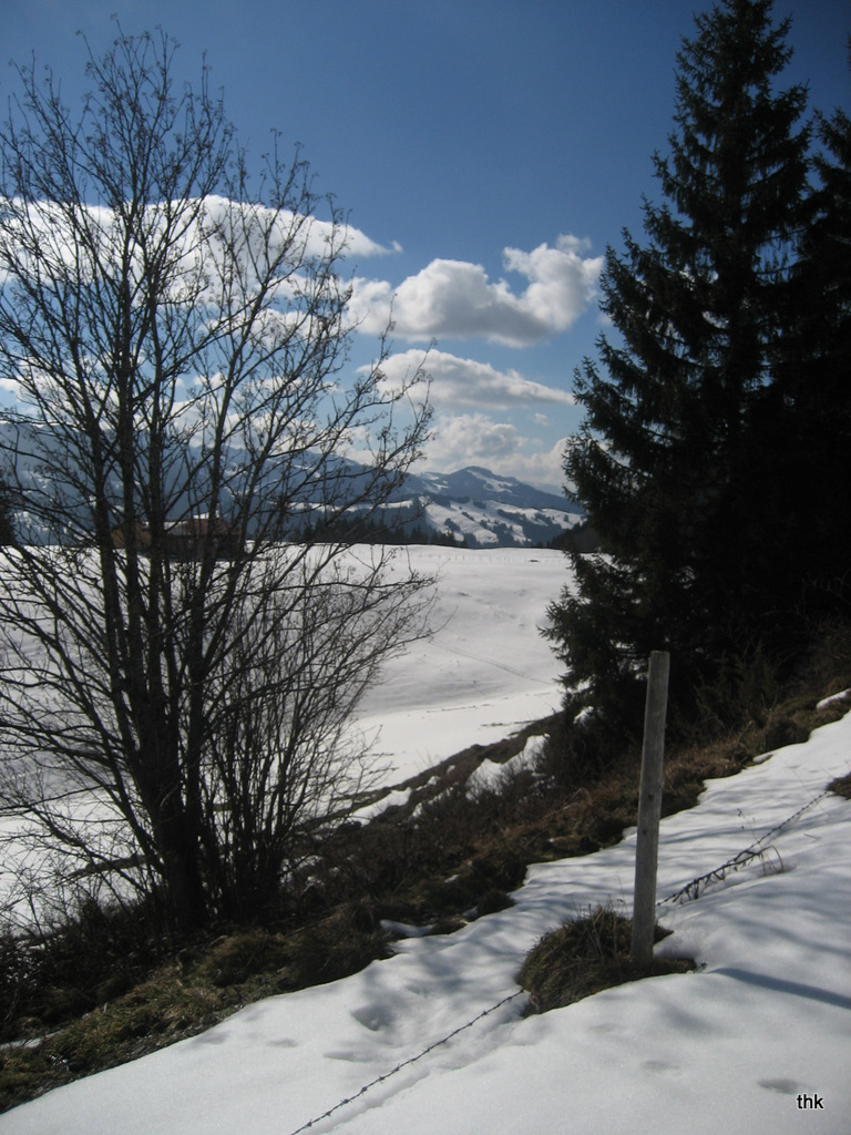 Letzter Schnee auf der Thaler Höhe (1200m)