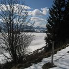 Letzter Schnee auf der Thaler Höhe (1200m)