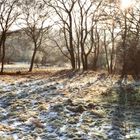 Letzter Schnee auf einer Lichtung