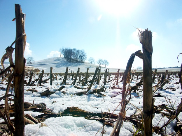 Letzter Schnee in der Märzsonne