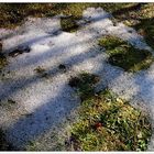 Letzter Schnee in meinem Garten - hoffe es bleibt dabei