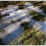 Letzter Schnee in meinem Garten - hoffe es bleibt dabei